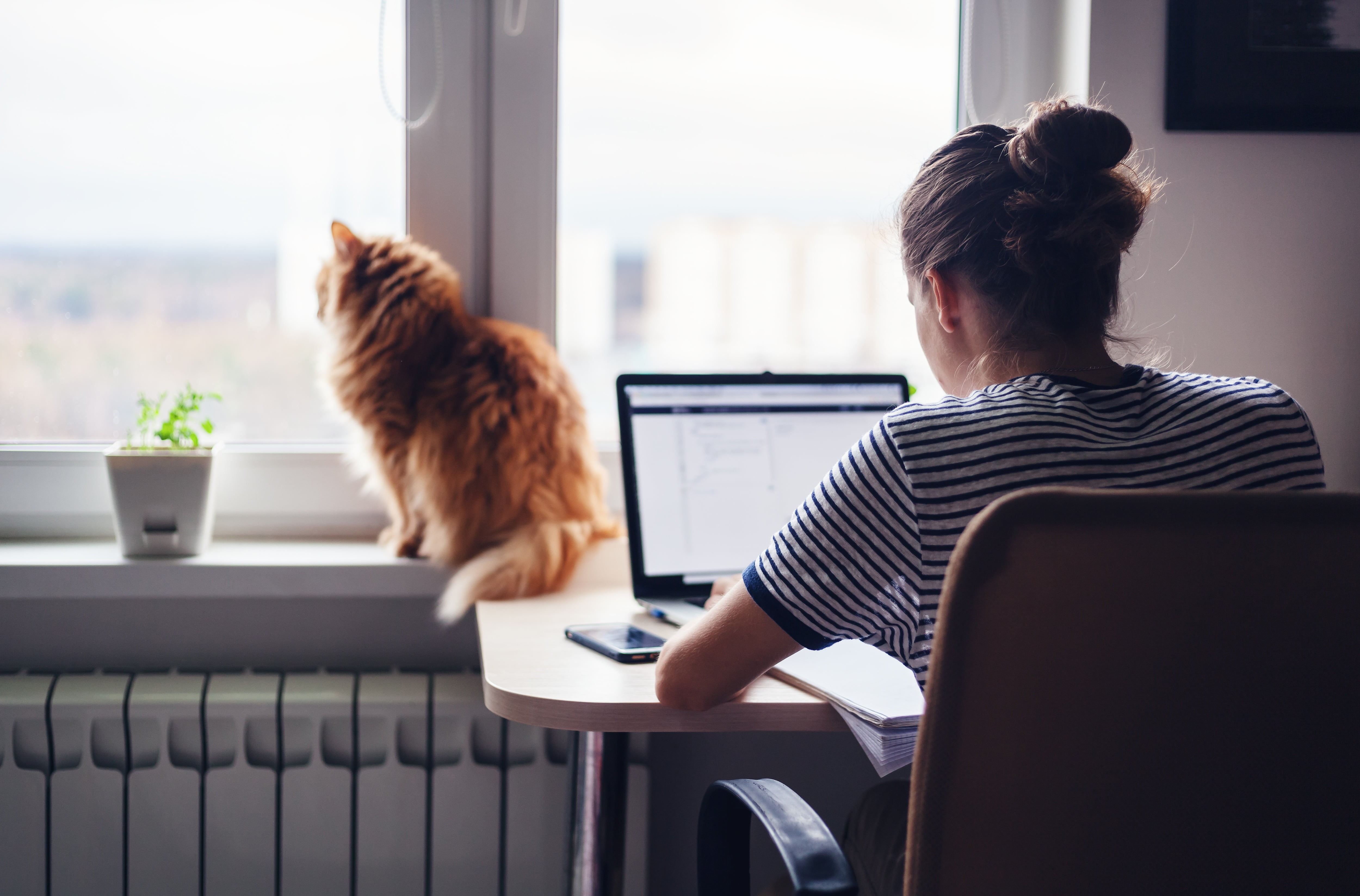 girl at desk, cat in window