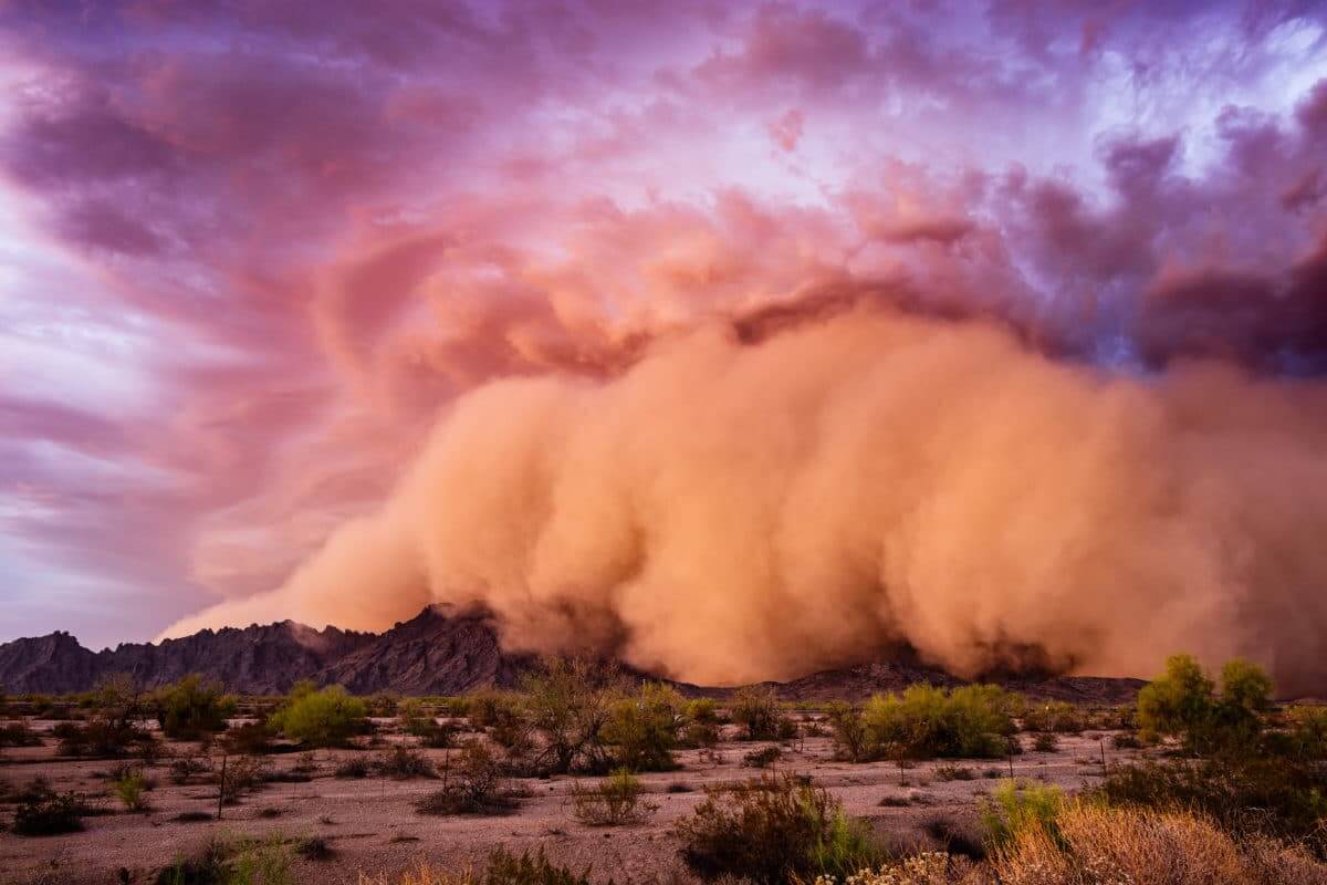 A monsoon dust storm rolls over the desert